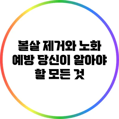 볼살 제거와 노화 예방: 당신이 알아야 할 모든 것