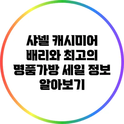 샤넬 캐시미어 배리와 최고의 명품가방 세일 정보 알아보기
