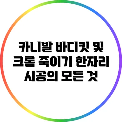 카니발 바디킷 및 크롬 죽이기 한자리 시공의 모든 것