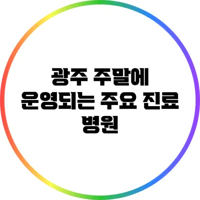광주 주말에 운영되는 주요 진료 병원