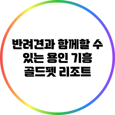 반려견과 함께할 수 있는 용인 기흥 골드펫 리조트