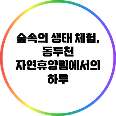 숲속의 생태 체험, 동두천 자연휴양림에서의 하루