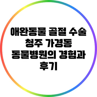 애완동물 골절 수술: 청주 가경동 동물병원의 경험과 후기