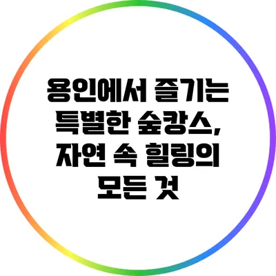용인에서 즐기는 특별한 숲캉스, 자연 속 힐링의 모든 것