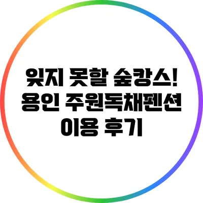 잊지 못할 숲캉스! 용인 주원독채펜션 이용 후기