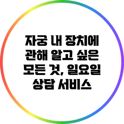 자궁 내 장치에 관해 알고 싶은 모든 것, 일요일 상담 서비스