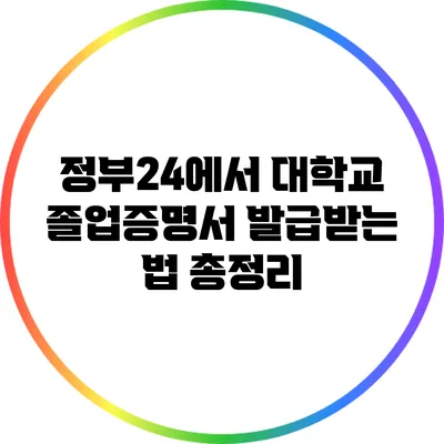 정부24에서 대학교 졸업증명서 발급받는 법 총정리