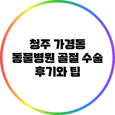 청주 가경동 동물병원 골절 수술 후기와 팁