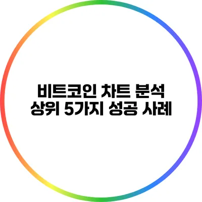 비트코인 차트 분석 상위 5가지 성공 사례