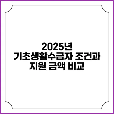 2025년 기초생활수급자 조건과 지원 금액 비교