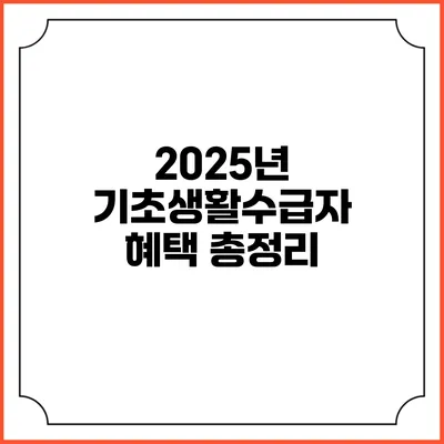 2025년 기초생활수급자 혜택 총정리