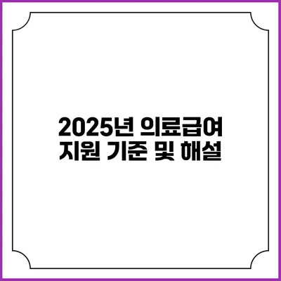 2025년 의료급여 지원 기준 및 해설