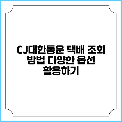 CJ대한통운 택배 조회 방법 다양한 옵션 활용하기