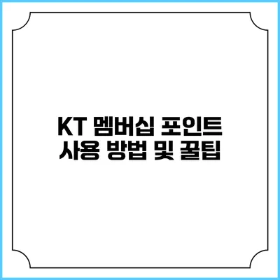 KT 멤버십 포인트 사용 방법 및 꿀팁