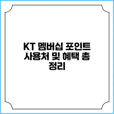 KT 멤버십 포인트 사용처 및 혜택 총 정리