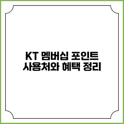 KT 멤버십 포인트 사용처와 혜택 정리