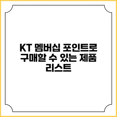 KT 멤버십 포인트로 구매할 수 있는 제품 리스트