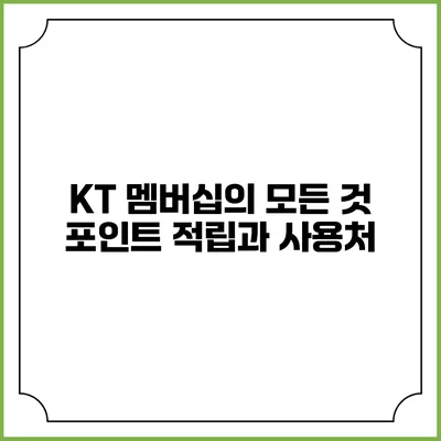 KT 멤버십의 모든 것 포인트 적립과 사용처