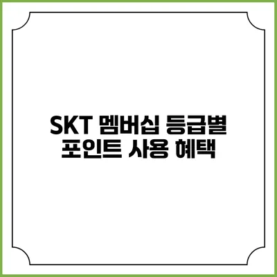 SKT 멤버십 등급별 포인트 사용 혜택