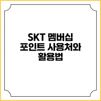 SKT 멤버십 포인트 사용처와 활용법