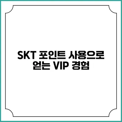 SKT 포인트 사용으로 얻는 VIP 경험