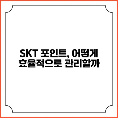 SKT 포인트, 어떻게 효율적으로 관리할까?