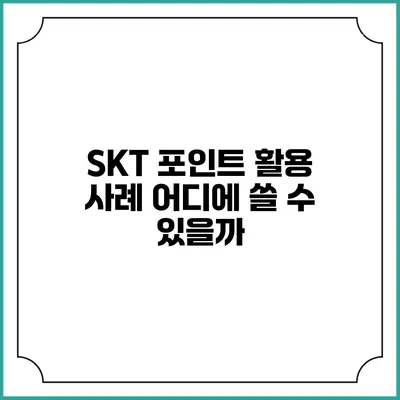 SKT 포인트 활용 사례 어디에 쓸 수 있을까?