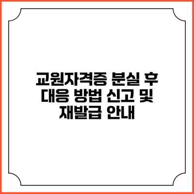 교원자격증 분실 후 대응 방법: 신고 및 재발급 안내