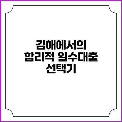 김해에서의 합리적 일수대출 선택기