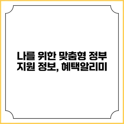 나를 위한 맞춤형 정부 지원 정보, 혜택알리미