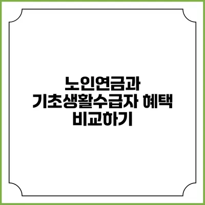 노인연금과 기초생활수급자 혜택 비교하기