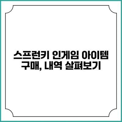 스프런키 인게임 아이템 구매, 내역 살펴보기