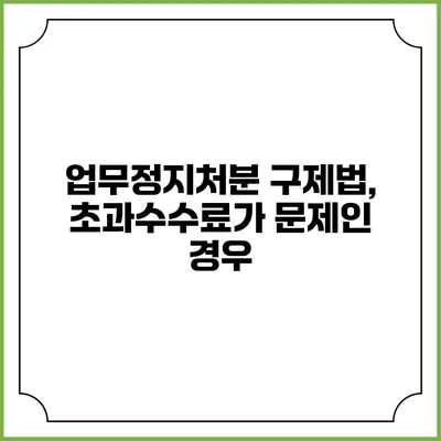 업무정지처분 구제법, 초과수수료가 문제인 경우?