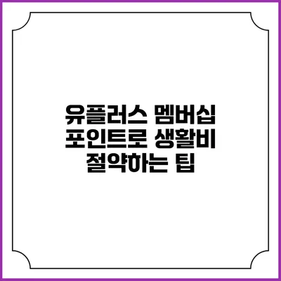 유플러스 멤버십 포인트로 생활비 절약하는 팁