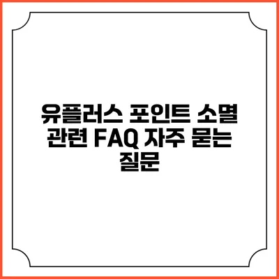 유플러스 포인트 소멸 관련 FAQ 자주 묻는 질문