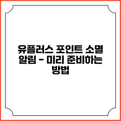 유플러스 포인트 소멸 알림 - 미리 준비하는 방법