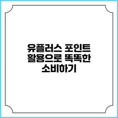 유플러스 포인트 활용으로 똑똑한 소비하기