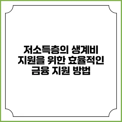 저소득층의 생계비 지원을 위한 효율적인 금융 지원 방법