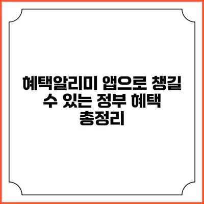 혜택알리미 앱으로 챙길 수 있는 정부 혜택 총정리