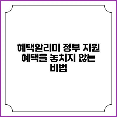 혜택알리미 정부 지원 혜택을 놓치지 않는 비법