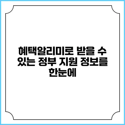혜택알리미로 받을 수 있는 정부 지원 정보를 한눈에