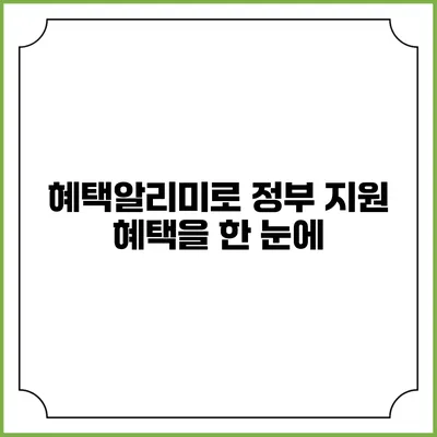 혜택알리미로 정부 지원 혜택을 한 눈에