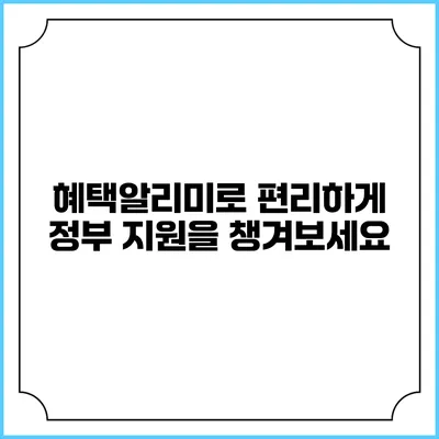 혜택알리미로 편리하게 정부 지원을 챙겨보세요