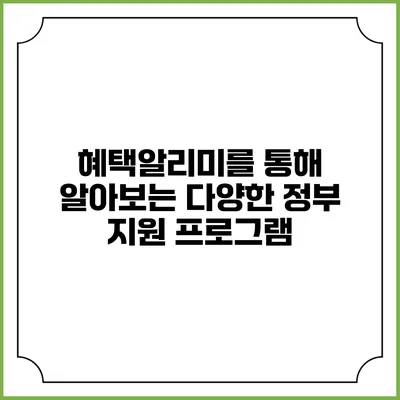 혜택알리미를 통해 알아보는 다양한 정부 지원 프로그램
