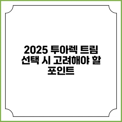 2025 투아렉 트림 선택 시 고려해야 할 포인트