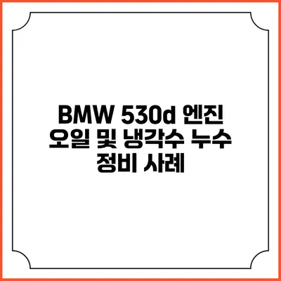 BMW 530d 엔진 오일 및 냉각수 누수 정비 사례