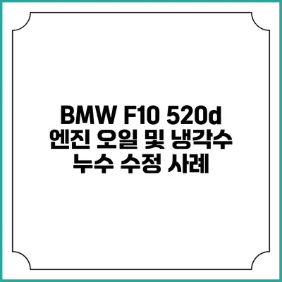 BMW F10 520d 엔진 오일 및 냉각수 누수 수정 사례