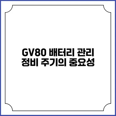 GV80 배터리 관리 정비 주기의 중요성