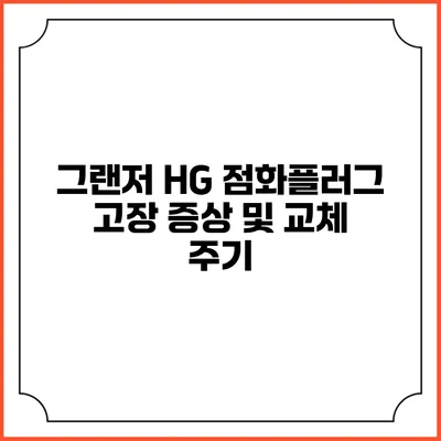 그랜저 HG 점화플러그 고장 증상 및 교체 주기