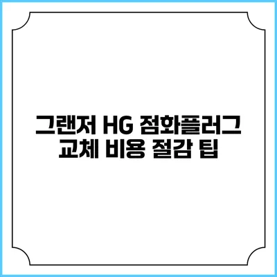 그랜저 HG 점화플러그 교체 비용 절감 팁